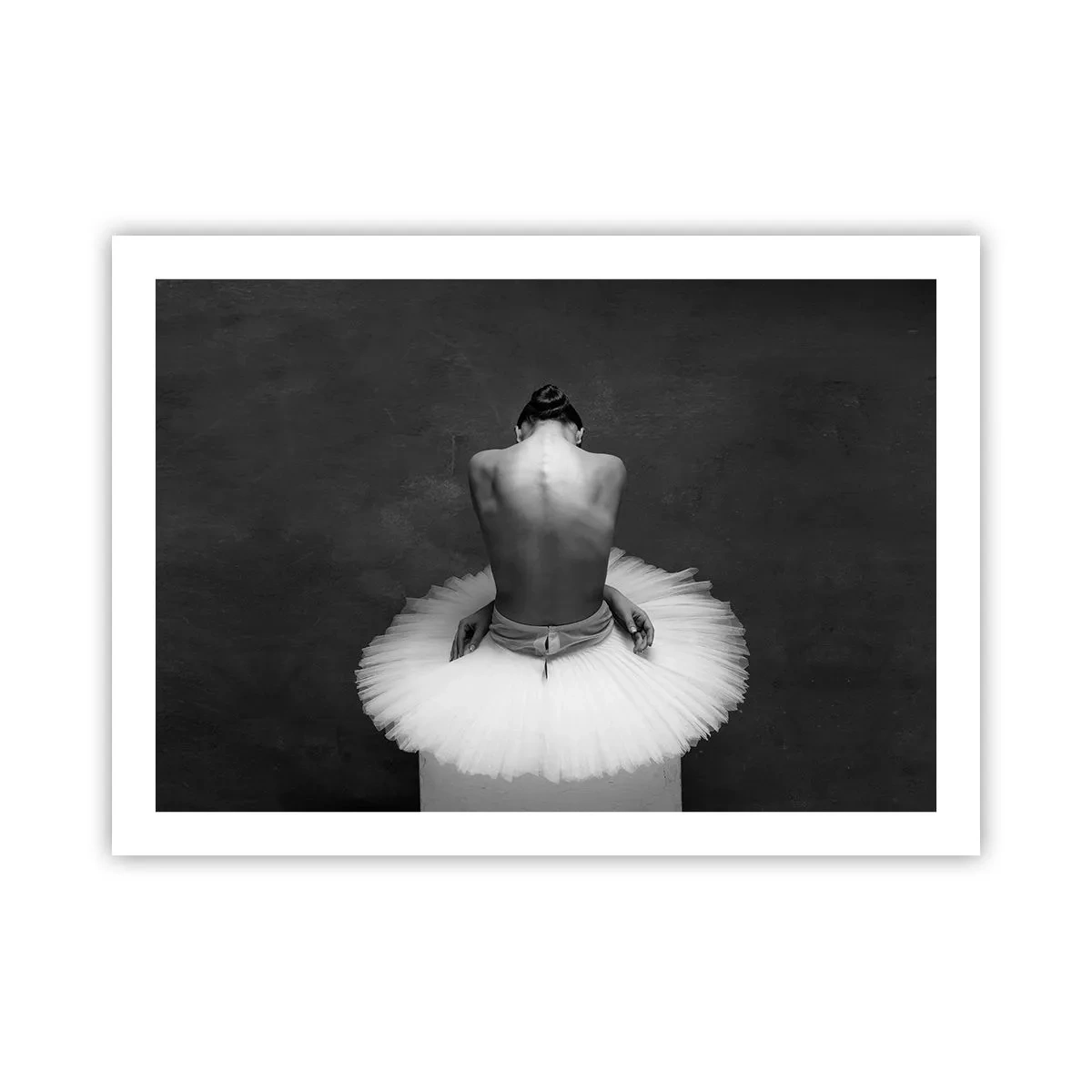 Poster - Es blüht gerade - 70x50 cm