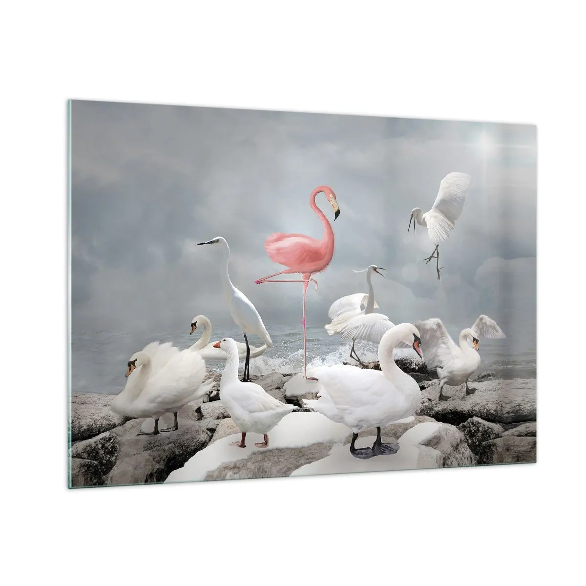 Glasbild - Bild auf glas - Ein rosa Flamingo zwischen weißen Schwänen und Reihern vor dem Wasser - 100x70cm - Wie kam ich hier hin? - Moderne Wanddekoration für Wohnzimmer und Schlafzimmer ARTTOR