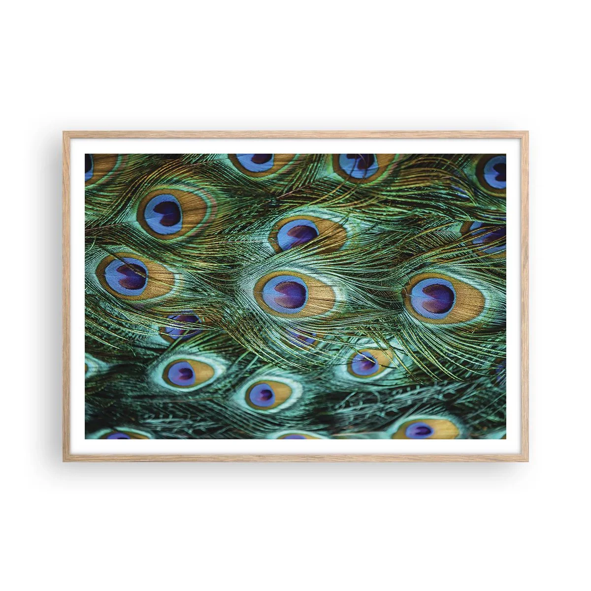 Poster in einem Rahmen aus heller Eiche - Ein Blick mit Pfauenaugen - 100x70 cm