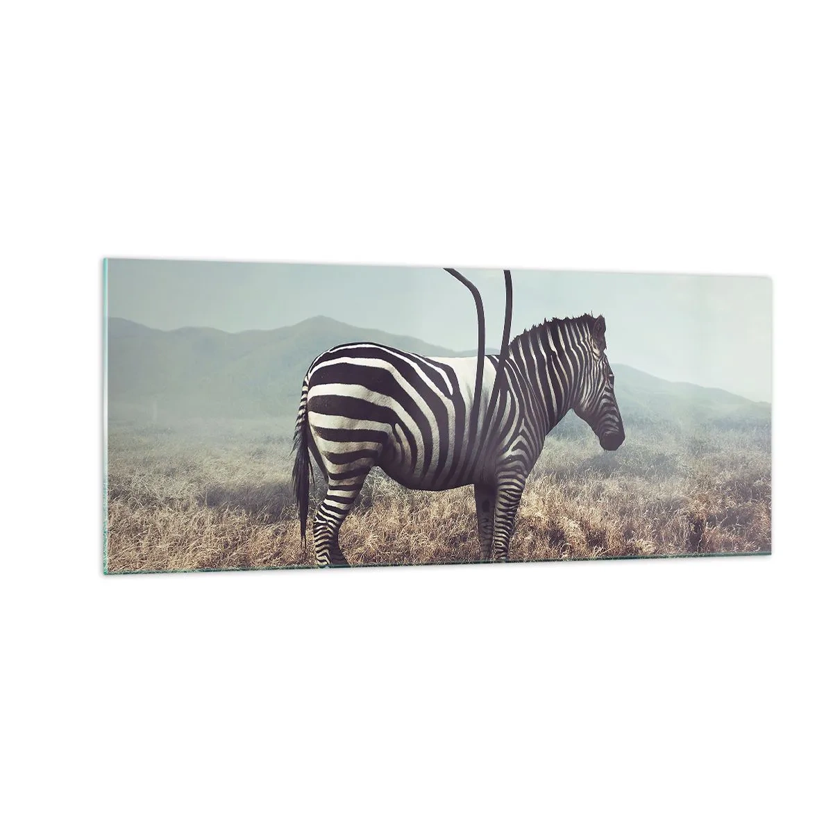 Glasbild - Bild auf glas - Achtung! Fehler - 100x40 cm