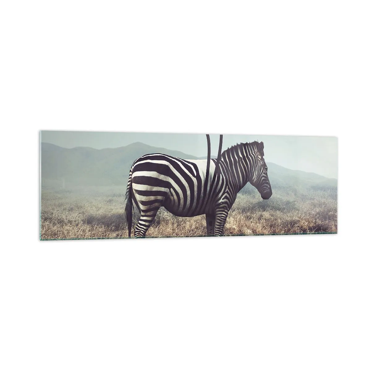 Glasbild - Bild auf glas - Ein surreales Zebra vor einer grasbewachsenen Landschaft - 160x50cm - Achtung! Fehler - Moderne Wanddekoration für Wohnzimmer und Schlafzimmer ARTTOR