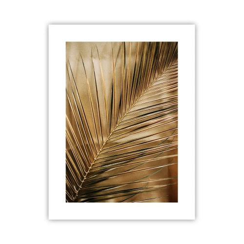 Poster - Natürliche Kolonnade - 30x40 cm