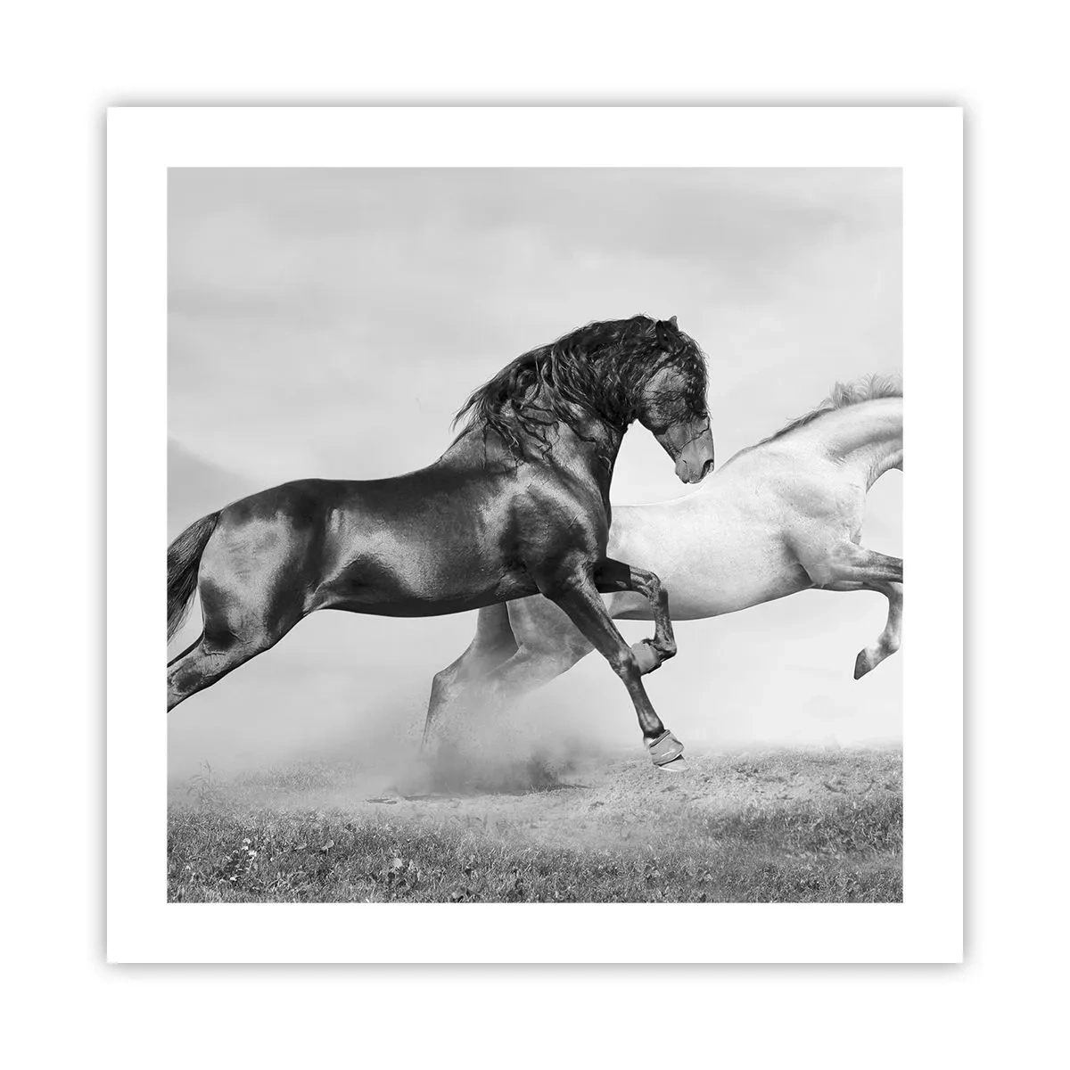 Poster - Engel und Dämonen - 50x50 cm