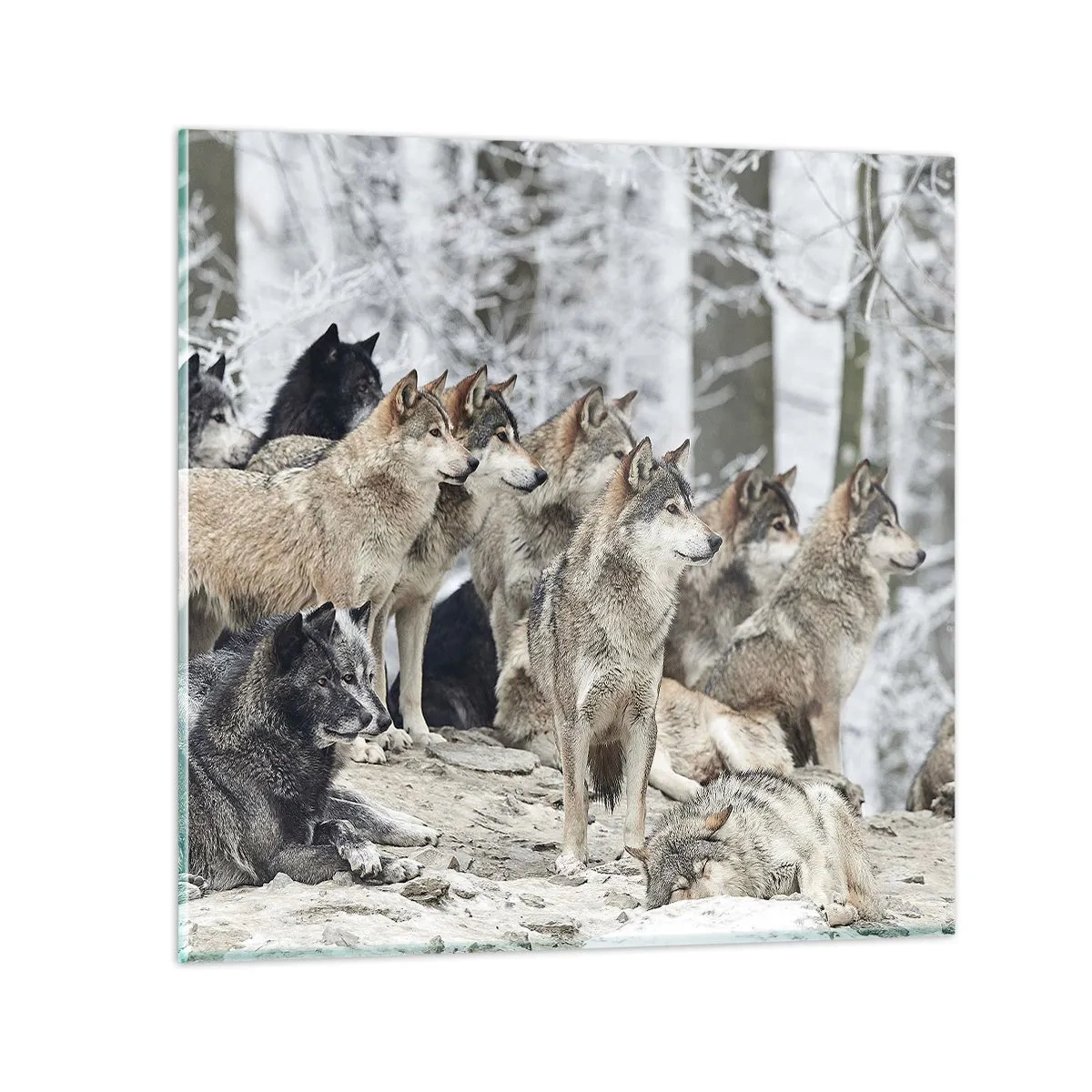 Glasbild - Bild auf glas - Familie und Freunde - 40x40 cm