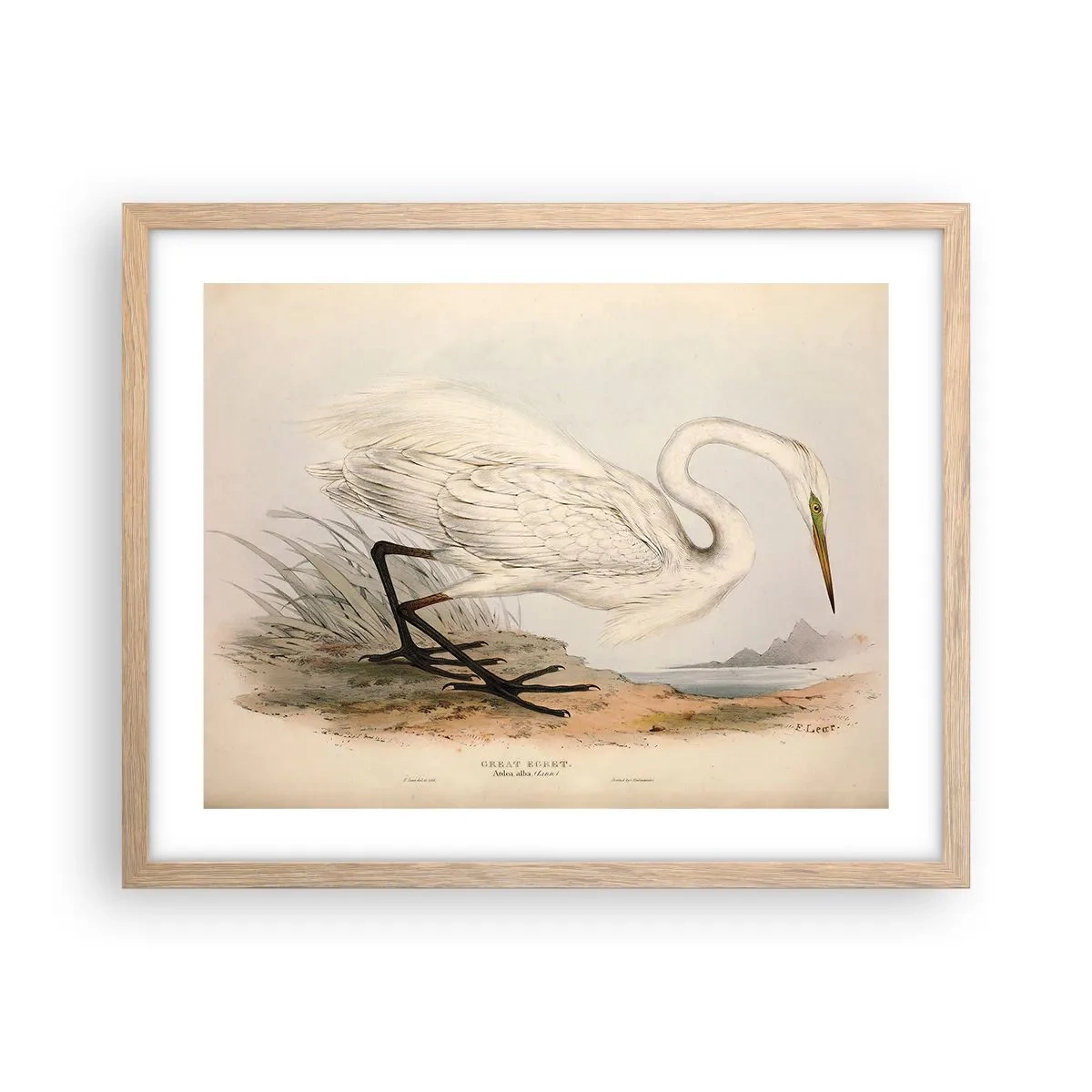 Poster in einem Rahmen aus heller Eiche - Dame auf den Binsen - 50x40 cm