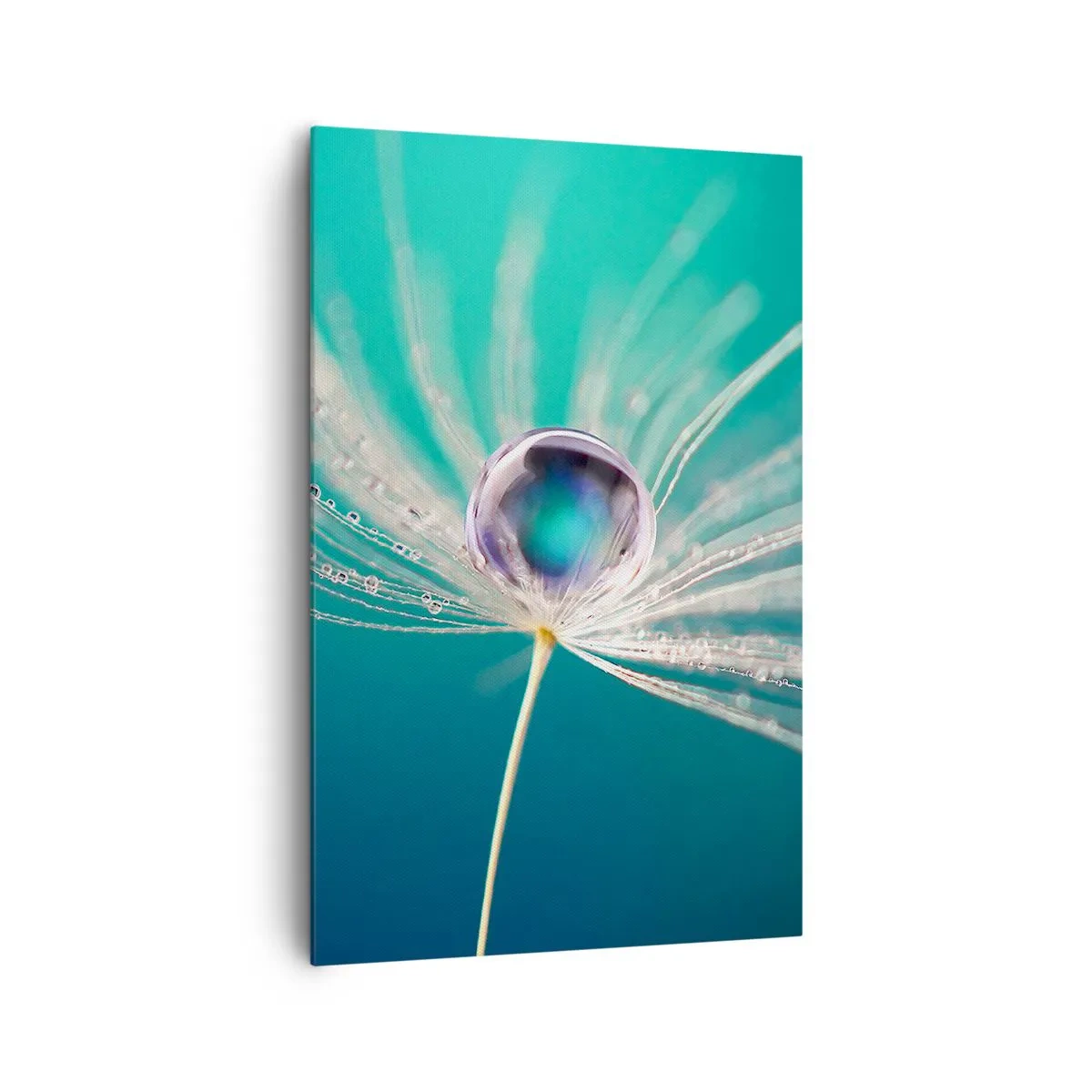 Bild auf Leinwand - Leinwandbild - Makroaufnahme eines Wassertropfens auf einem zarten Löwenzahnsamen - 80x120cm - Mystischer Moment - Moderne Wanddekoration für Wohnzimmer und Schlafzimmer ARTTOR