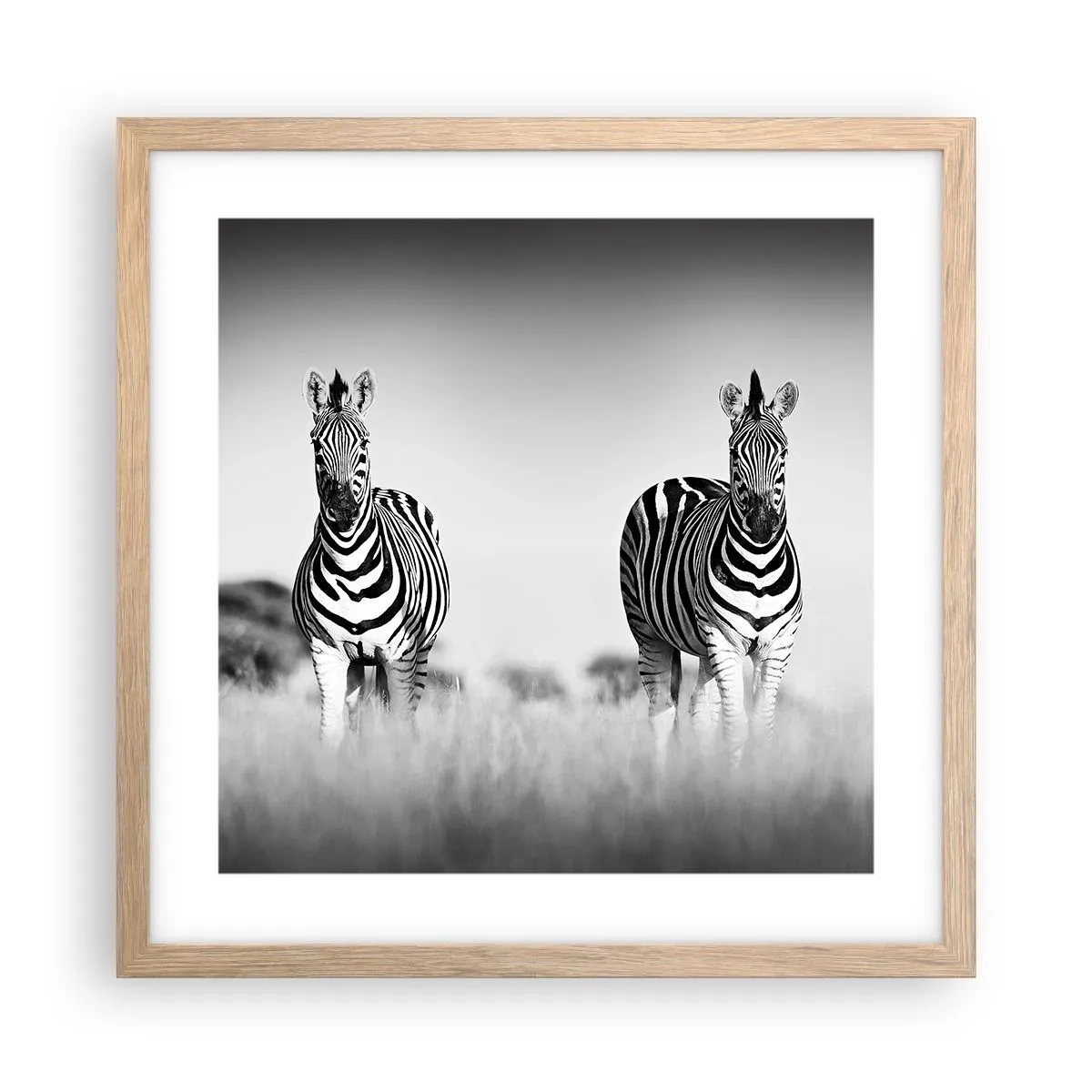 Poster in einem Rahmen aus heller Eiche - Die Welt ist doch schwarz-weiß - 40x40 cm