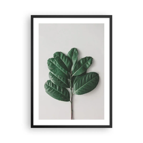 Poster in einem schwarzem Rahmen - Ein Zweig mit dunkelgrünen Blättern auf hellem Hintergrund - 50x70cm - Eine Zeichnung purer Natur - Moderne Wanddekoration für Wohnzimmer und Schlafzimmer ARTTOR