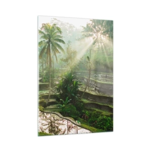 Glasbild - Bild auf glas - Tropische Reisfelder mit Palmen im Morgennebel - 50x70cm - In der Sonne aufwachsen - Moderne Wanddekoration für Wohnzimmer und Schlafzimmer ARTTOR