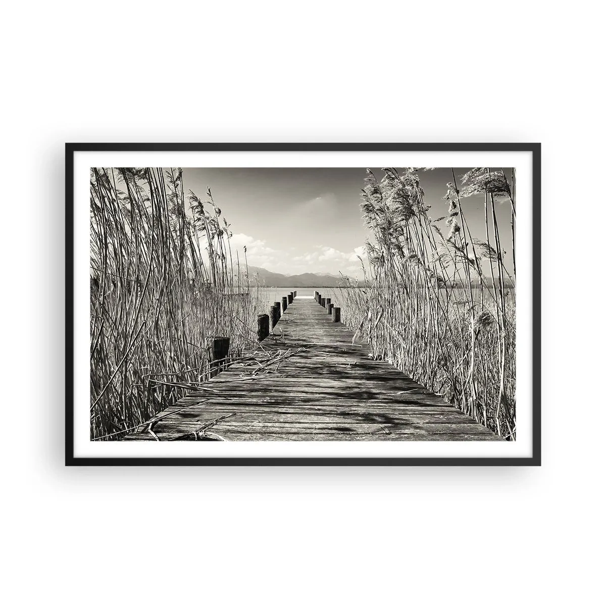 Poster in einem schwarzem Rahmen - In der Stille des Grases - 91x61 cm