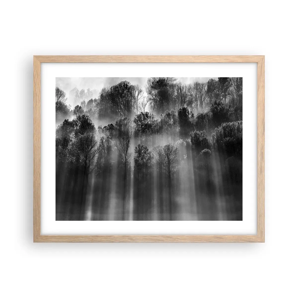 Poster in einem Rahmen aus heller Eiche - In Lichtstrahlen - 50x40 cm