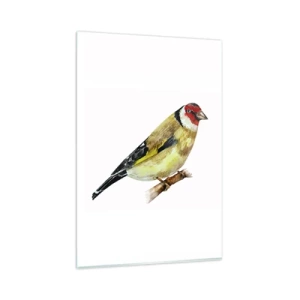 Glasbild - Bild auf glas - Ein Vogel mit rotem Kopf auf einem Ast - 80x120cm - Vogelporträt - Moderne Wanddekoration für Wohnzimmer und Schlafzimmer ARTTOR