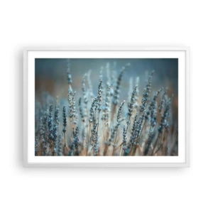 Poster in einem weißen Rahmen - Duftendes Kornfeld - 70x50 cm