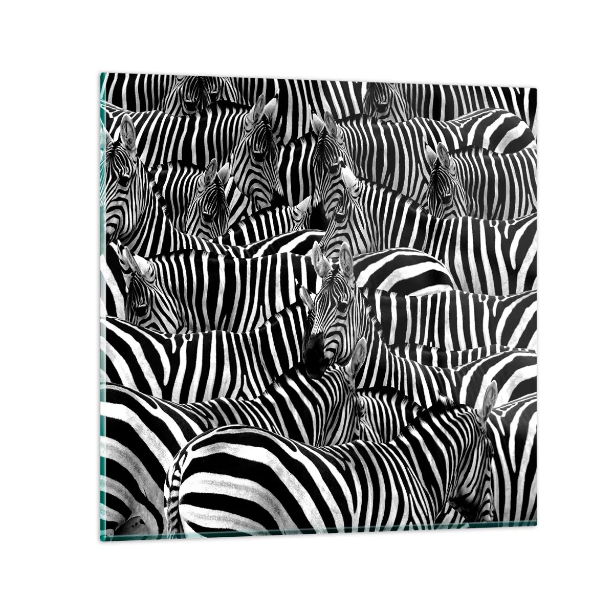 Glasbild - Bild auf glas - Gestreiftes Gruppenportrait - 40x40 cm