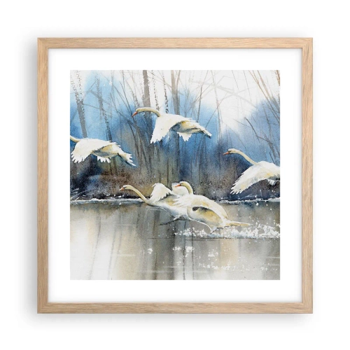 Poster in einem Rahmen aus heller Eiche - Wie im Märchen von den wilden Schwänen - 40x40 cm