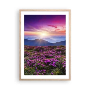 Poster in einem Rahmen aus heller Eiche - Kräuter dufteten nach frischen Trauben von den Feldern - 50x70 cm