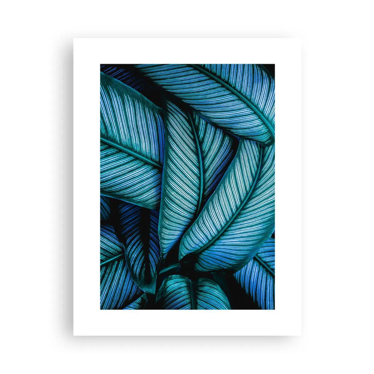 Poster - Lebenslinien - 30x40 cm