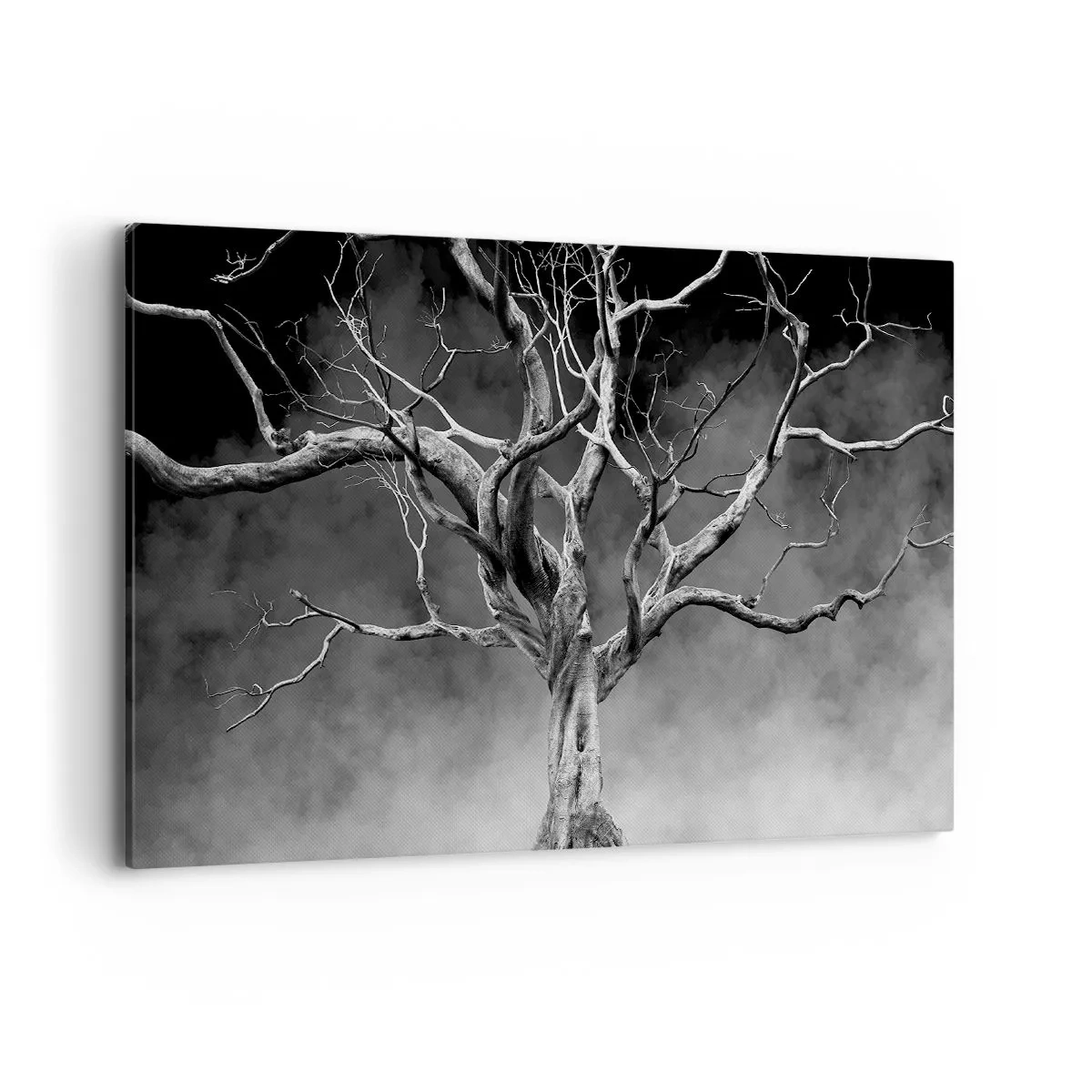 Bild auf Leinwand - Leinwandbild - Ein trockener Baum in Schwarz und Weiß gegen den Nebel - 100x70cm - Ursprünglich und heilig - Moderne Wanddekoration für Wohnzimmer und Schlafzimmer ARTTOR
