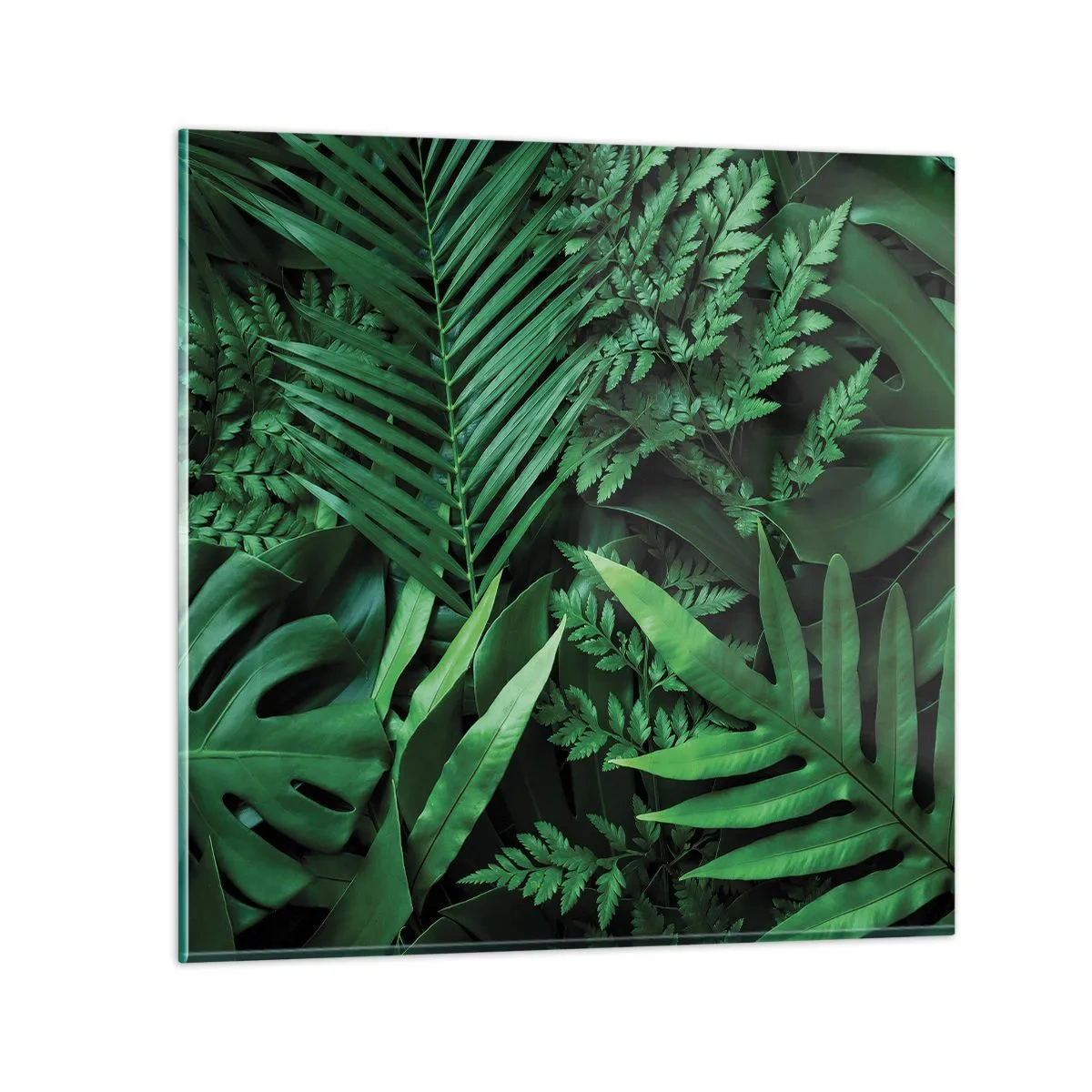 Glasbild - Bild auf glas - Eingebettet ins Grüne - 30x30 cm