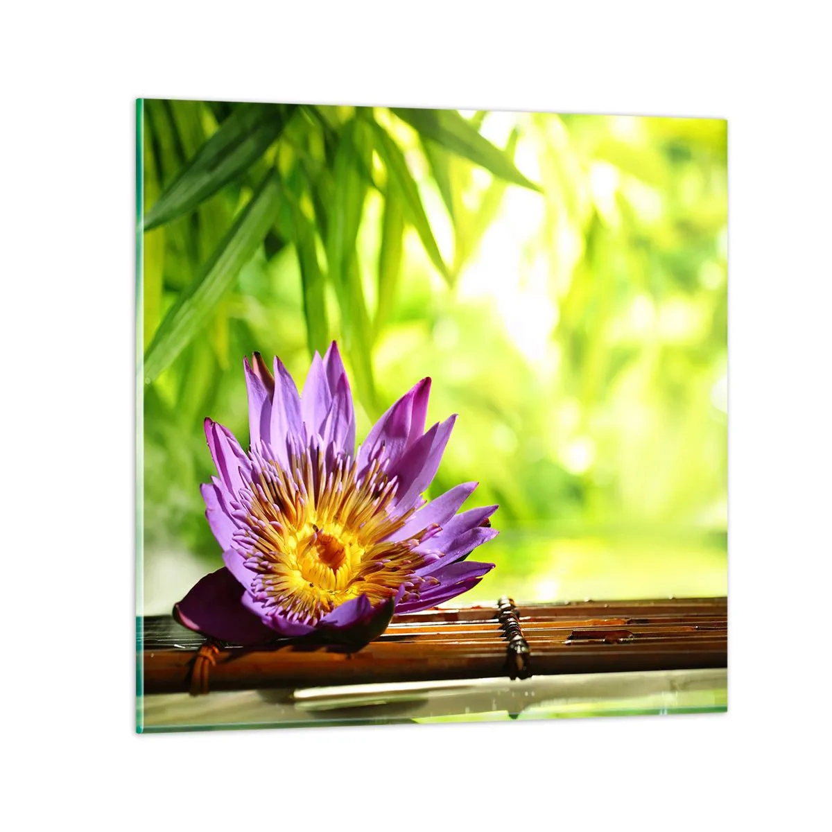 Glasbild - Bild auf glas - In der asiatischen Sonne - 60x60 cm