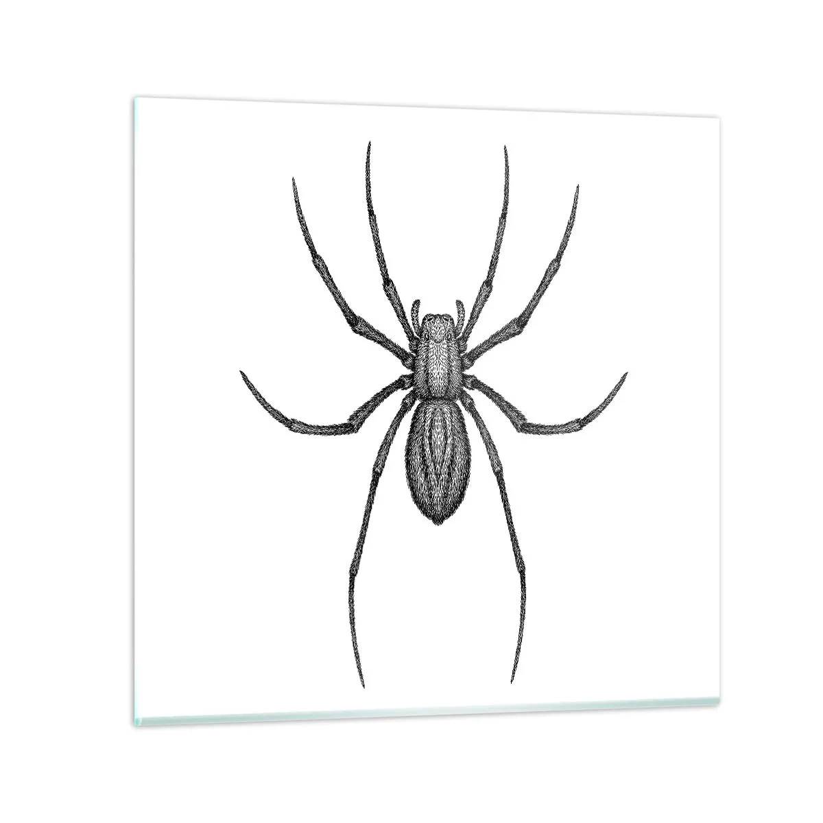 Glasbild - Bild auf glas - Beunruhigende Präzision - 40x40 cm