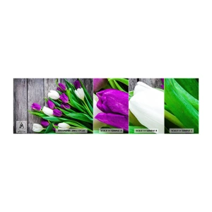 Fototapeten Muster Selbstklebend Deluxe Sticker - Am Tag der Frühlingsferien - Blumen, Tulpen, Blumenstrauß - 100x30 cm