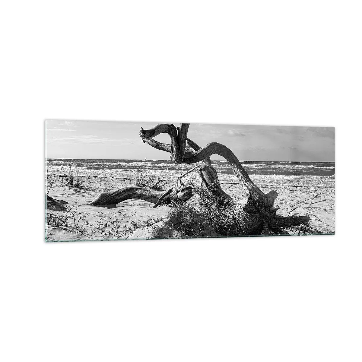 Glasbild - Bild auf glas - Schwarz-weiße Landschaft mit einem toten Baum am Strand - 140x50cm - Meeresskulptur - Moderne Wanddekoration für Wohnzimmer und Schlafzimmer ARTTOR