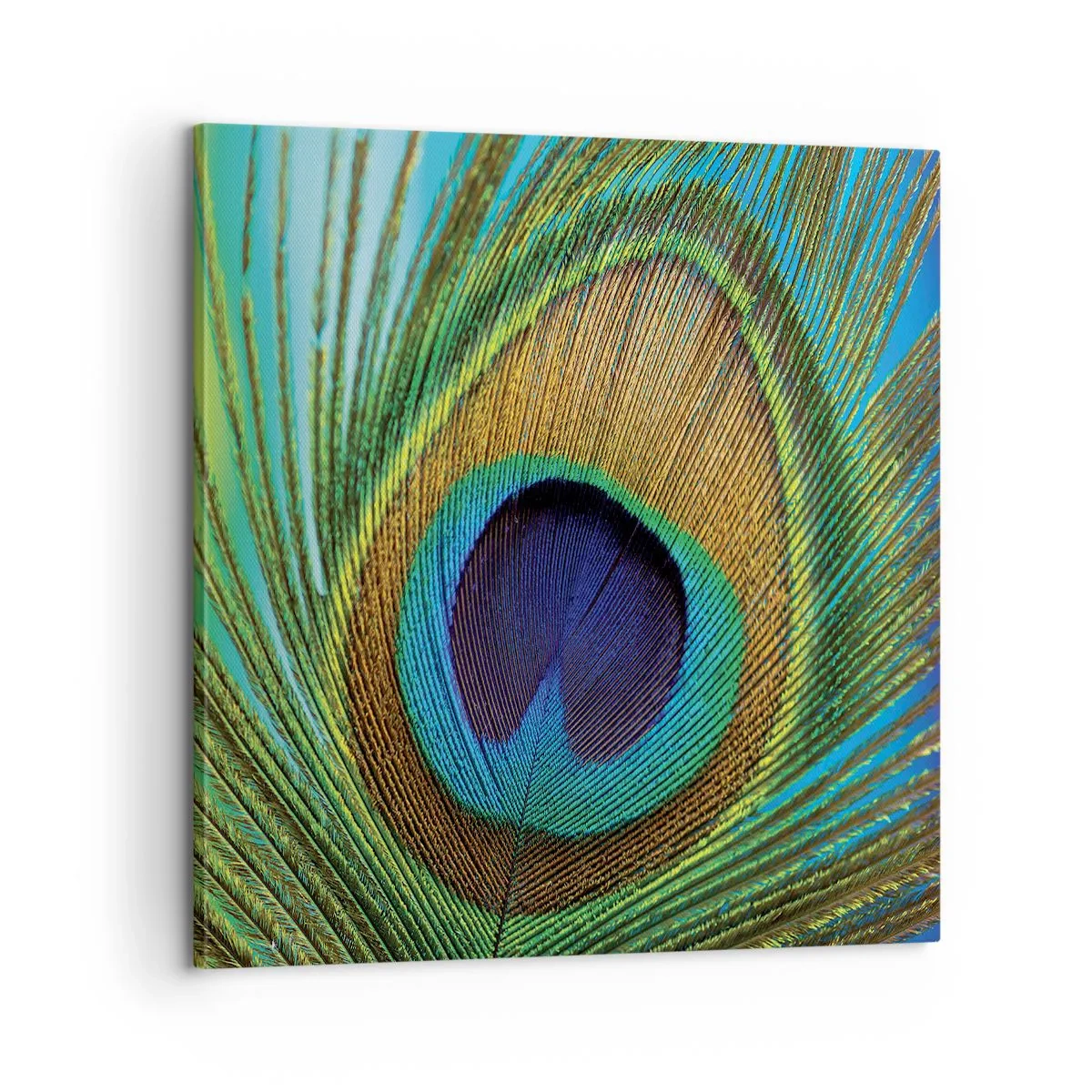 Bild auf Leinwand - Leinwandbild - Auge in Auge - 60x60 cm