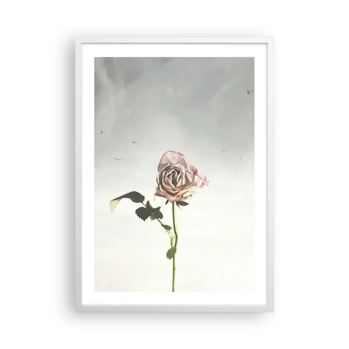 Poster in einem weißen Rahmen - Begrüßung des Frühlings - 50x70 cm