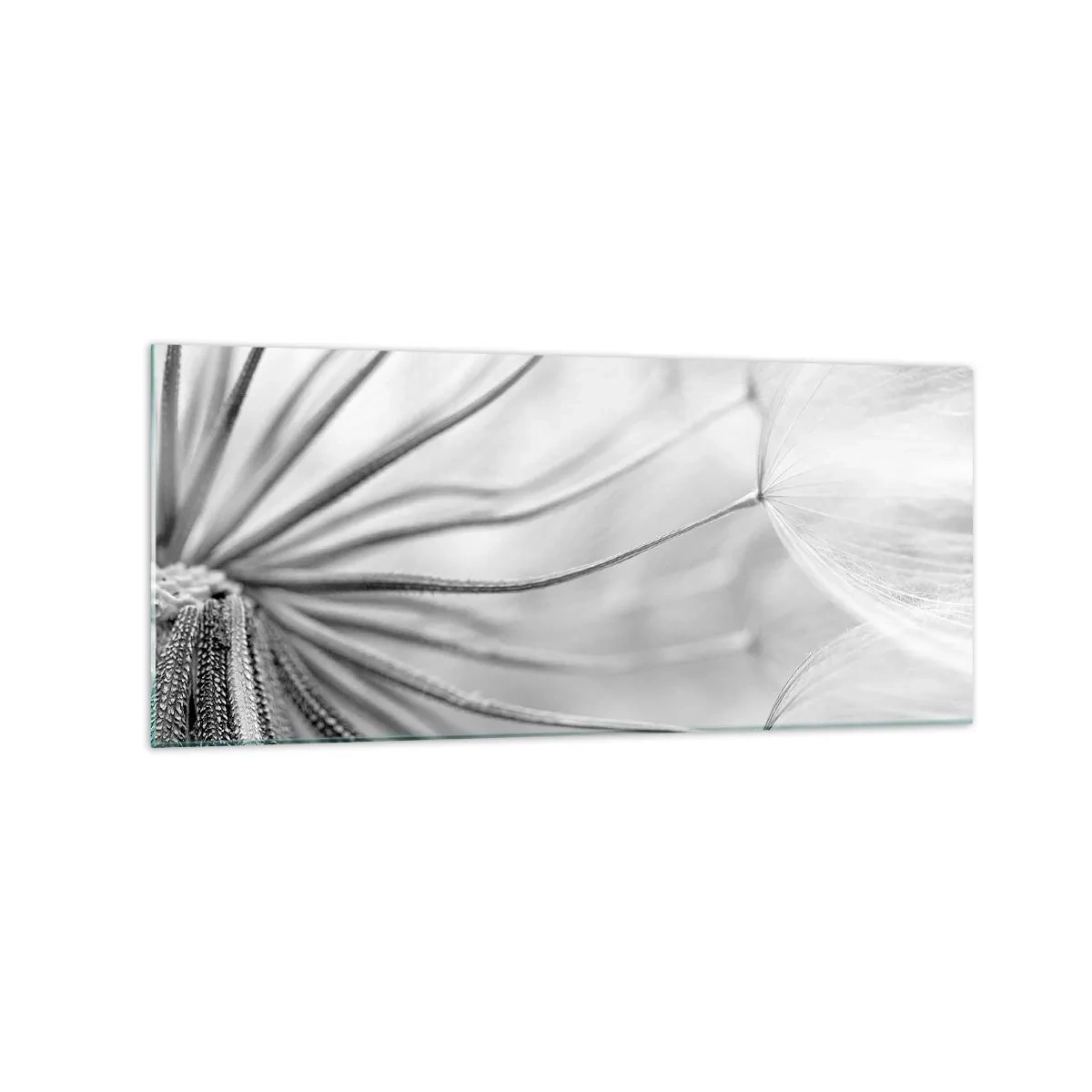 Glasbild - Bild auf glas - Zarte Pusteblumen in Schwarz-Weiß-Tönen - 120x50cm - Löwenzahn, Drachen - Moderne Wanddekoration für Wohnzimmer und Schlafzimmer ARTTOR