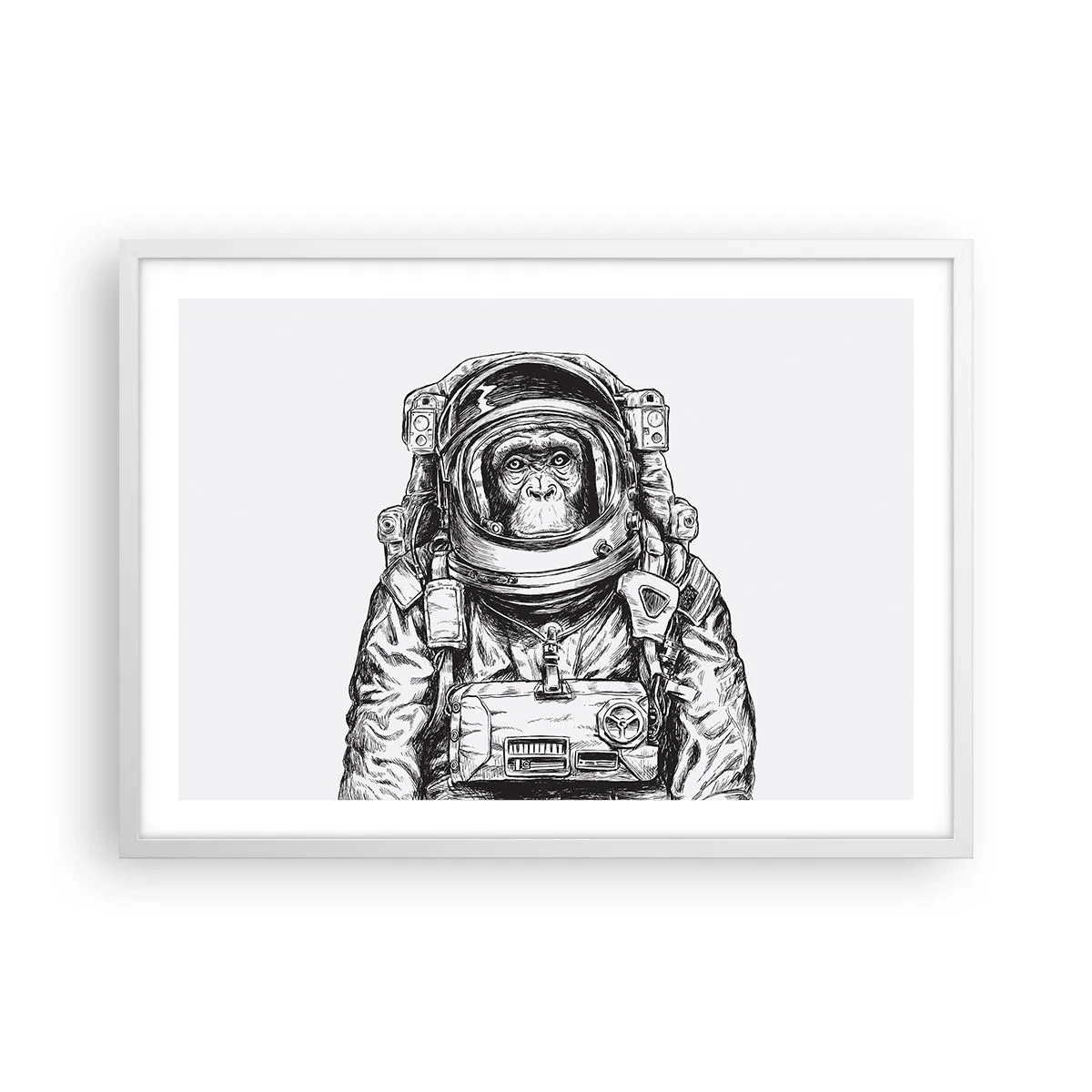 Poster in einem weißen Rahmen - Alternative Evolution - 70x50 cm