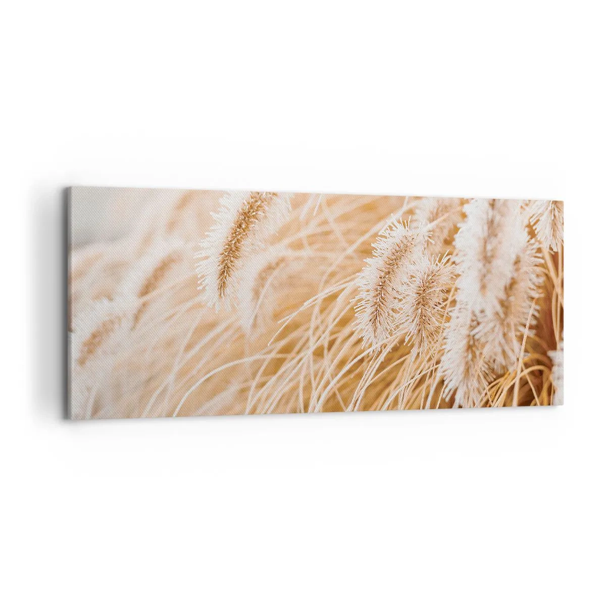 Bild auf Leinwand - Leinwandbild - Nahaufnahme von goldenen, zarten Gräsern im Sonnenlicht - 120x50cm - Das goldene Rauschen des Grases - Moderne Wanddekoration für Wohnzimmer und Schlafzimmer ARTTOR