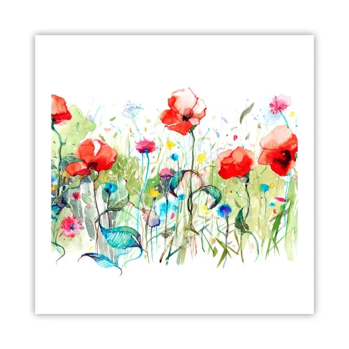 Poster - Blühende Maiwiese - 60x60 cm