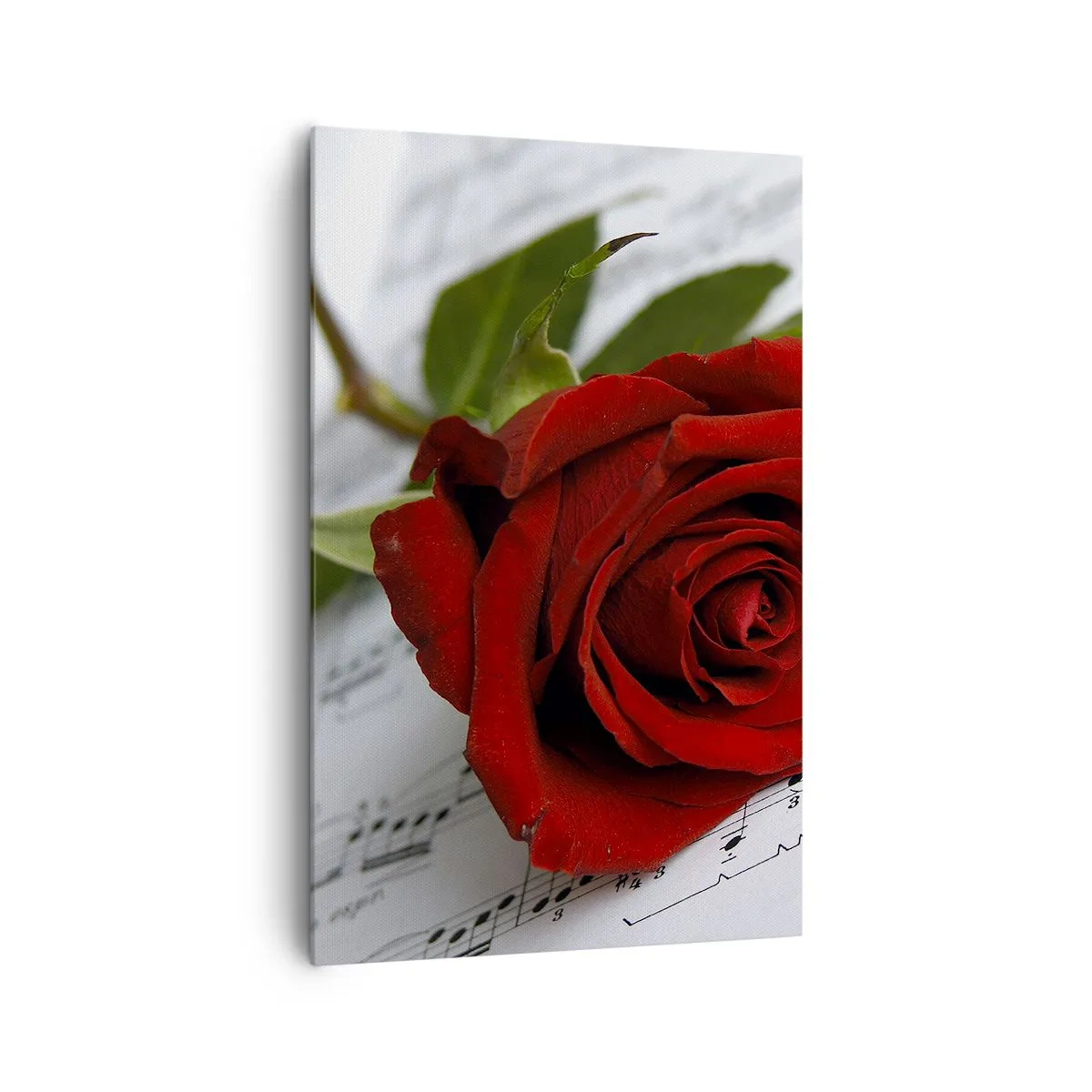 Bild auf Leinwand - Leinwandbild - Eine rote Rose vor einem Hintergrund aus Musiknoten auf weißem Papier. - 80x120cm - Musik der Gefühle in Scharlach - Moderne Wanddekoration für Wohnzimmer und Schlafzimmer ARTTOR
