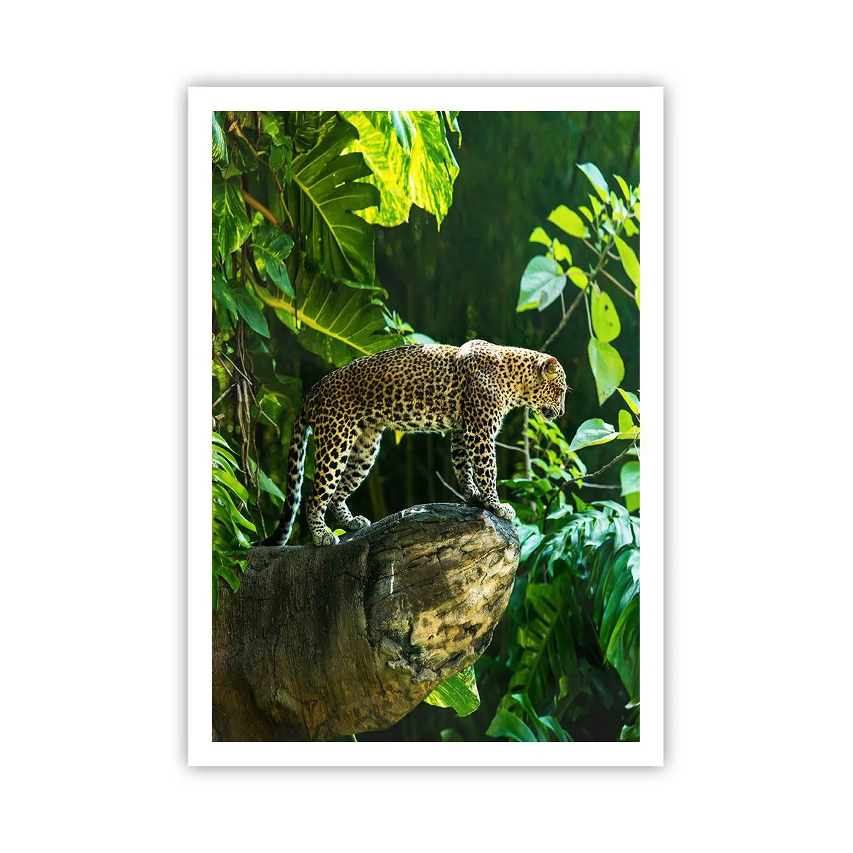 Poster - Auf die Jagd? - 70x100 cm