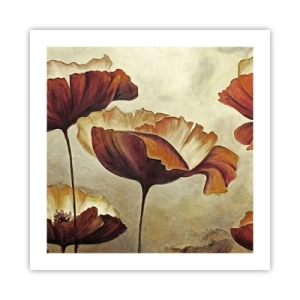 Poster - Weideland - 50x50 cm