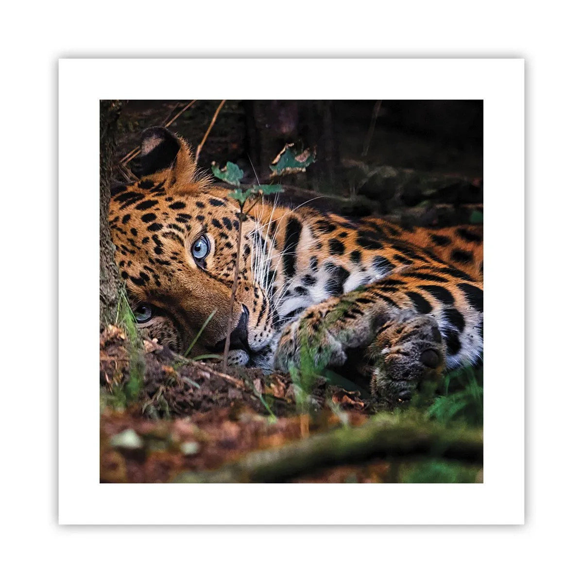 Poster - Vertrau mir - 40x40 cm