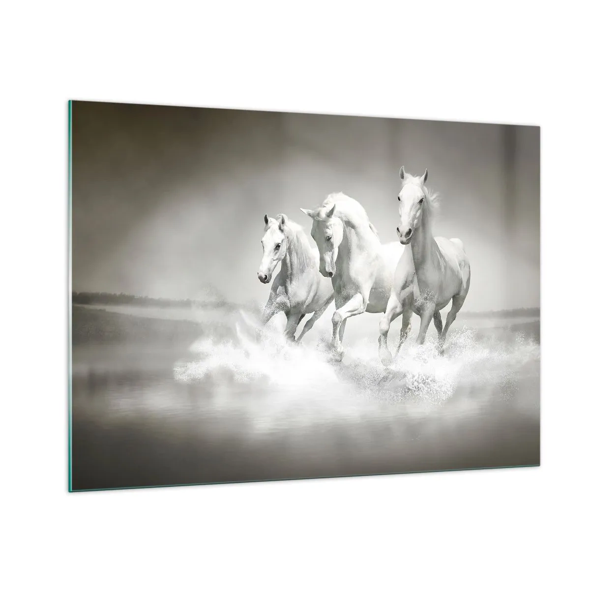 Glasbild - Bild auf glas - Drei weiße Pferde galoppieren durch das Wasser - 100x70cm - Weißer Wahnsinn - Moderne Wanddekoration für Wohnzimmer und Schlafzimmer ARTTOR