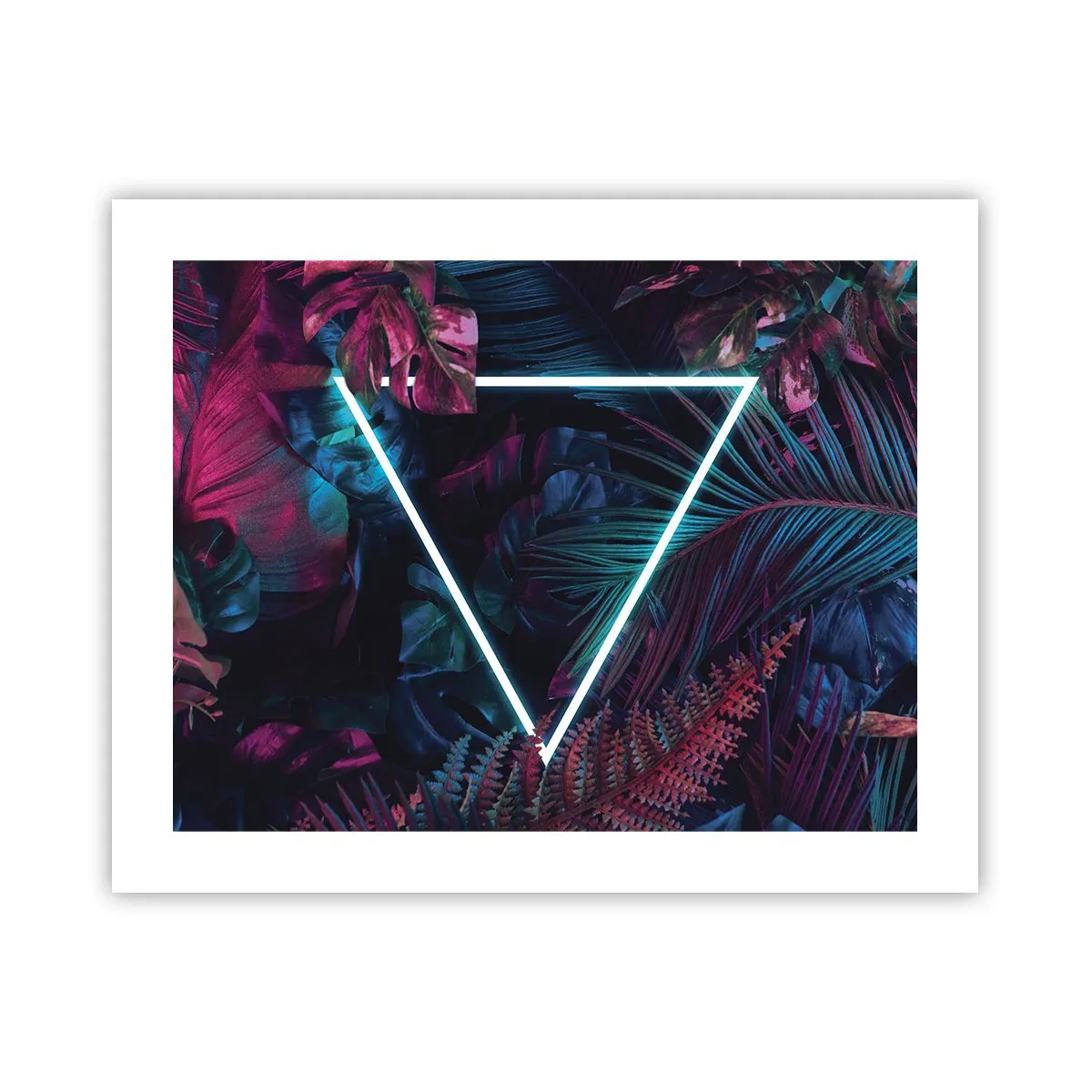 Poster - Garten im Disco-Stil - 50x40 cm