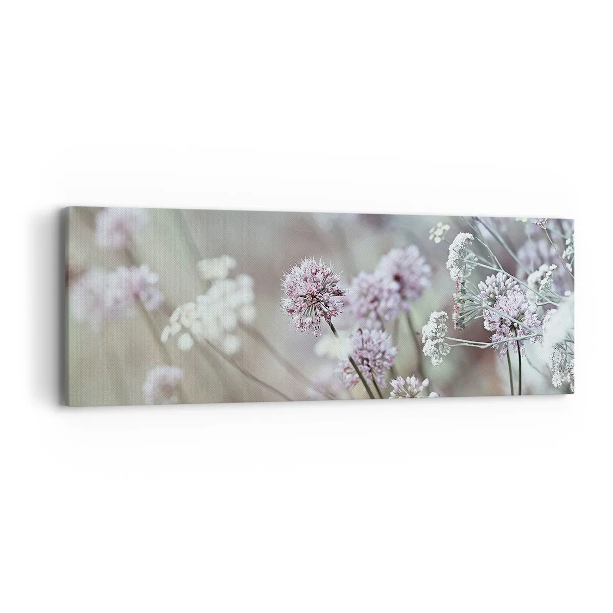 Bild auf Leinwand - Leinwandbild - Süße filigrane Kräuter - 90x30 cm