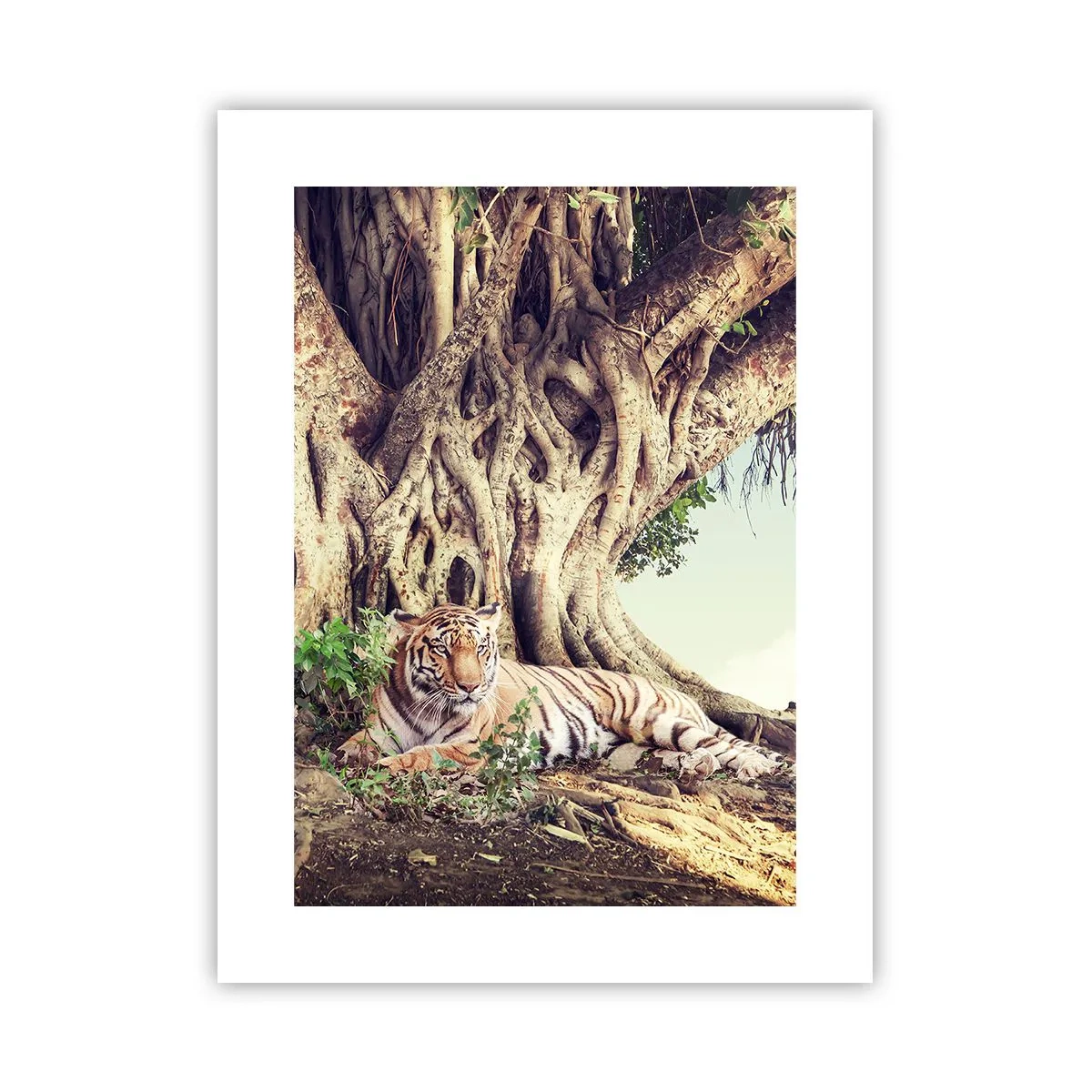 Poster - Blick aus dem Buch Genesis - 30x40 cm