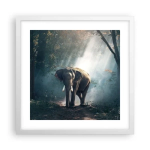 Poster in einem weißen Rahmen - Ein gemütlicher Spaziergang - 40x40 cm