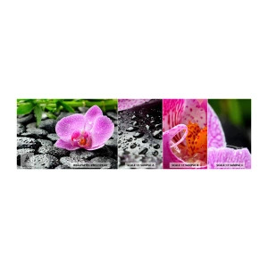 Fototapeten Muster Selbstklebend Deluxe Sticker - Wie ein offenes Herz - Blumen, Orchidee, Orchidee - 100x30 cm