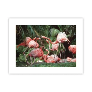 Poster - Nachmittagsklatsch - 40x30 cm