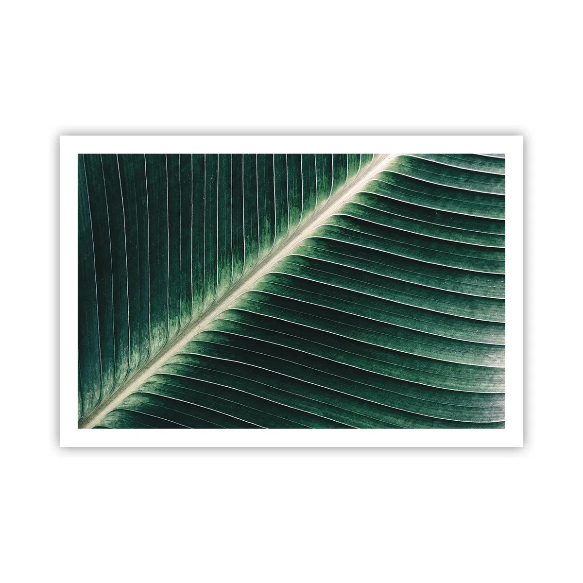 Poster - Rhythmus der Natur - 91x61 cm