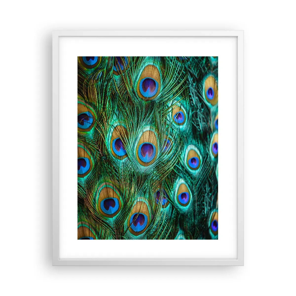 Poster in einem weißen Rahmen - Ein Blick mit Pfauenaugen - 40x50 cm