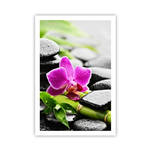 Poster - In ruhiger Balance - 61x91 cm