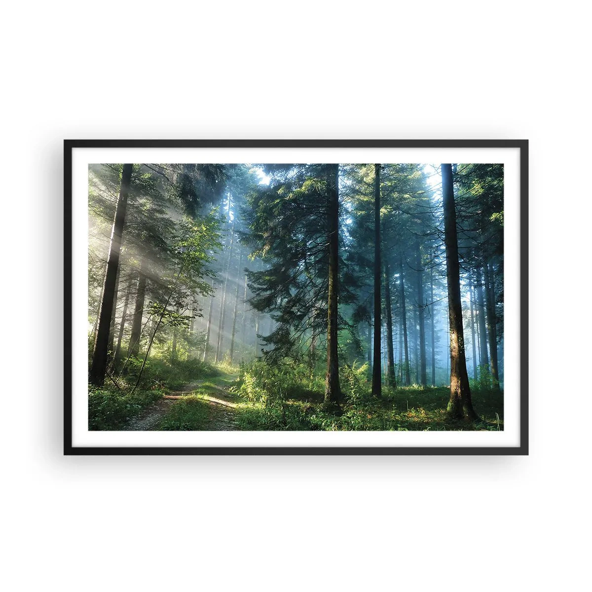 Poster in einem schwarzem Rahmen - Strahlend am Morgen - 91x61 cm