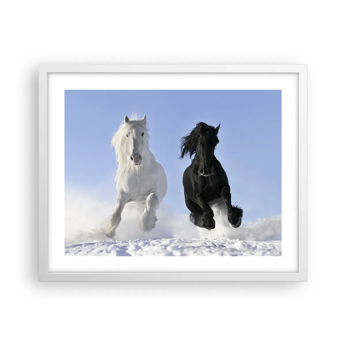 Poster in einem weißen Rahmen - Schwarz-Weiß-Galopp - 50x40 cm