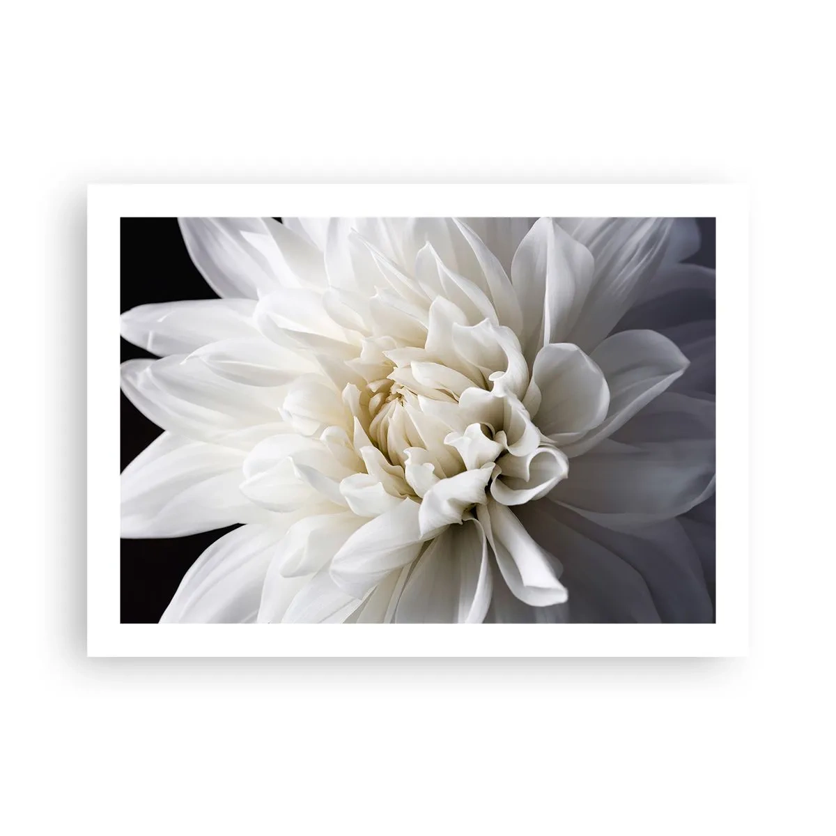 Poster - Der Morgen der Braut - 70x50 cm